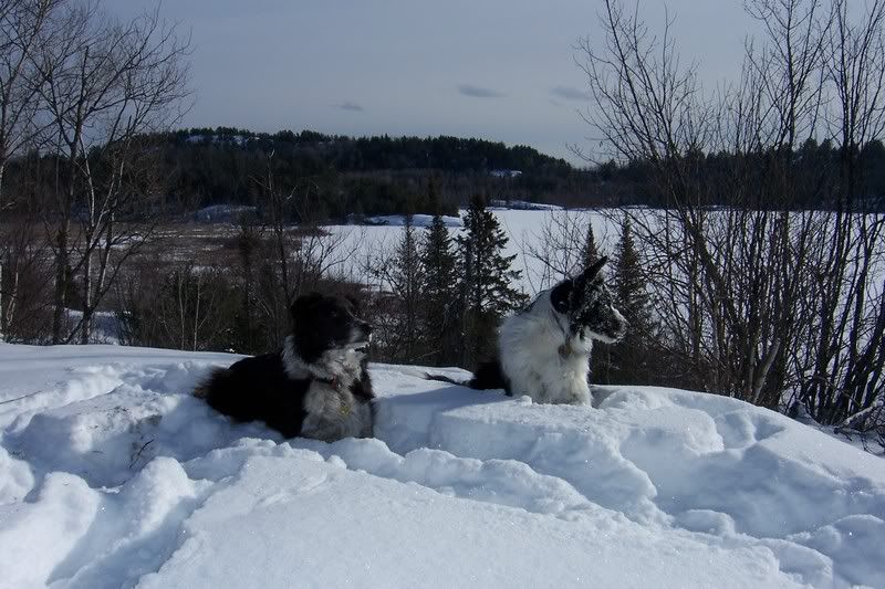 Pictures around your Homestead - Homesteading Questions