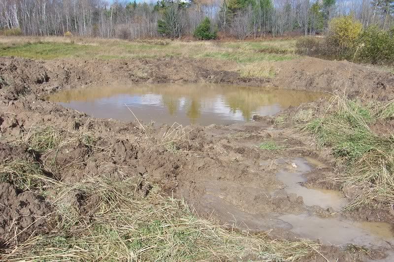 Farm pond - Homesteading Questions