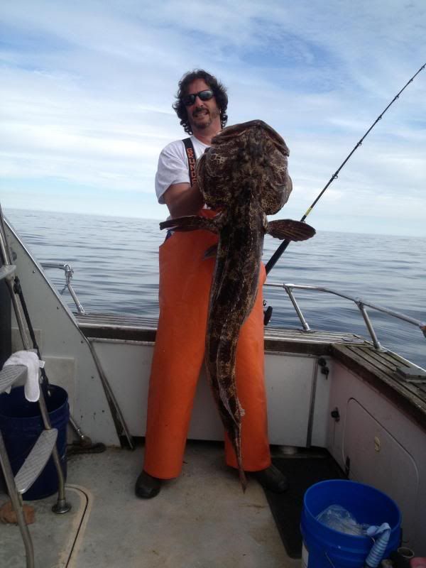 LingCod2013.jpg