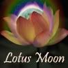 lotusmoon.jpg