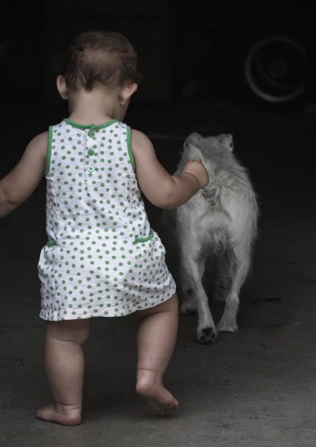 IMAGE: http://i16.photobucket.com/albums/b28/Deec77/_MG_8616.jpg