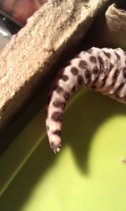IMAG0686.jpg