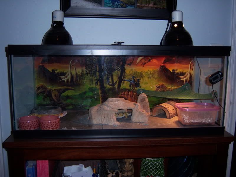 tank006.jpg