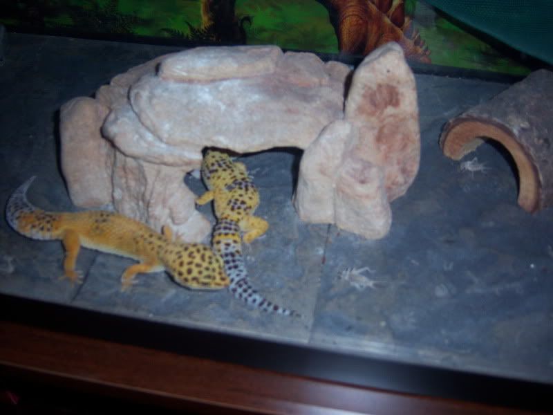 tank011.jpg