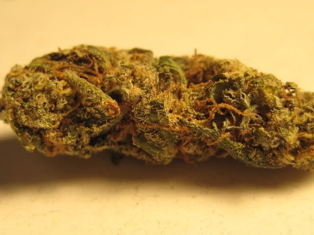 http://i16.photobucket.com/albums/b28/skierdood/IMG_0126.jpg
