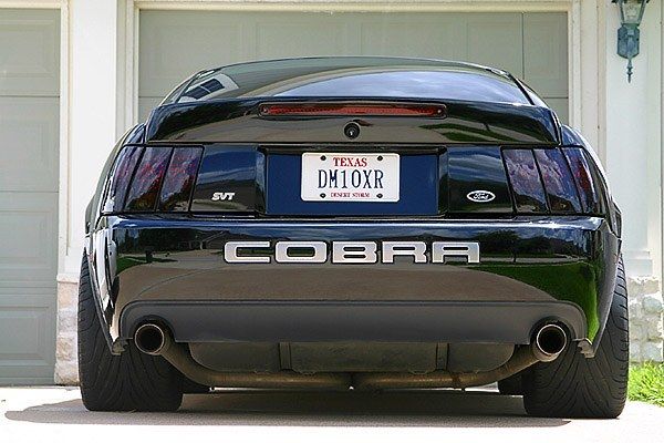 cobra.jpg