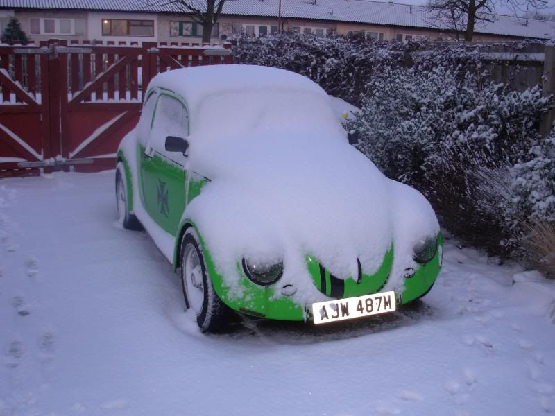 http://i16.photobucket.com/albums/b29/dungbug/DSCN3439.jpg