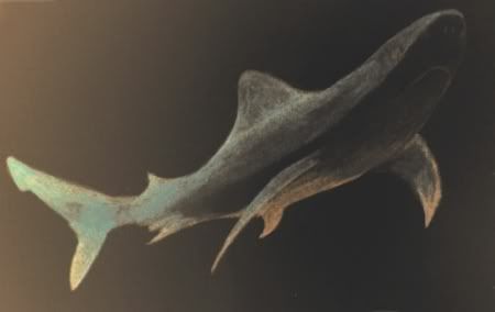 sinister shark illustration