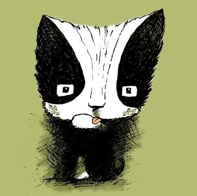 cat licking itself