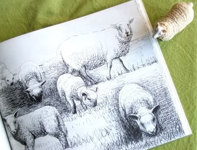 henry moore's sheep sketchbook