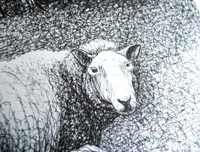 henry moore's sheep sketchbook