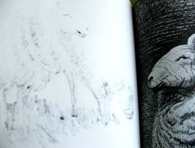 henry moore's sheep sketchbook