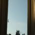 seagull flying past a window