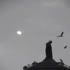 valladolid church with storks