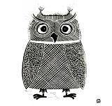 owl illustration