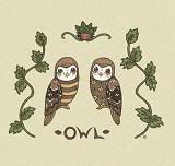 owl illustration