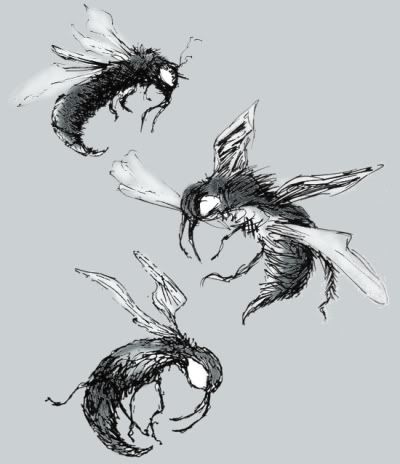 flies illustration