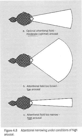 arousal catastrophe theory. arousal catastrophe theory. Catastrophe Theory In Sport