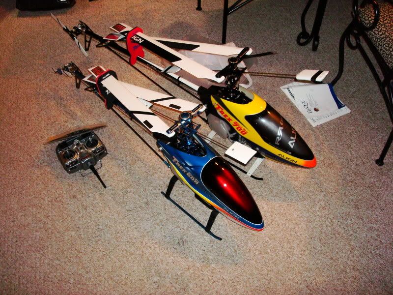 sturdy birdy rc plane
