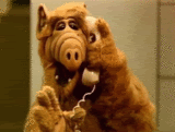 ALF.gif