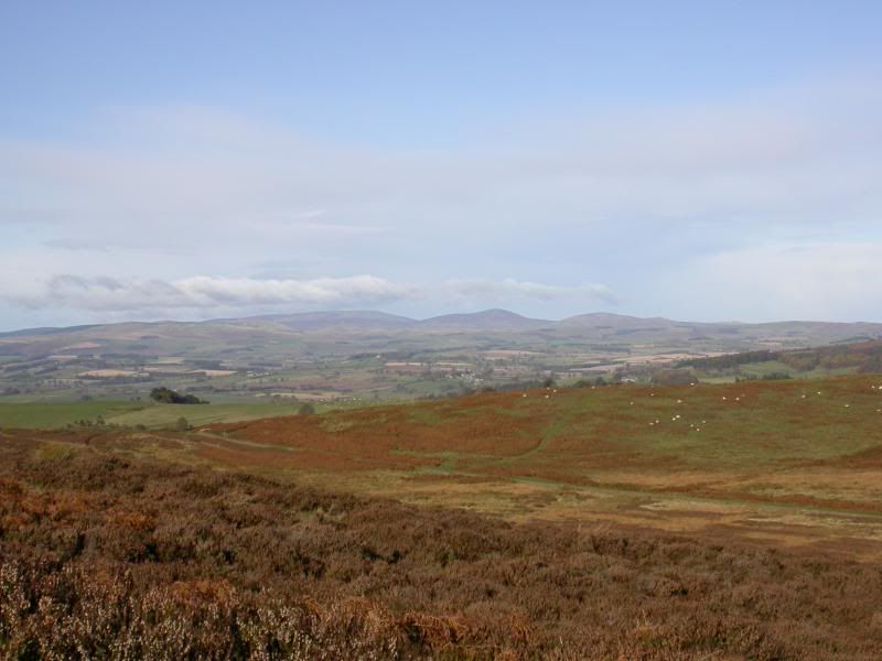 Looking towards The Cheviot Pictures, Images and Photos