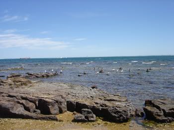 Mytoonhua Amy Brighton Beach 1