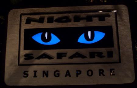 Night Safari