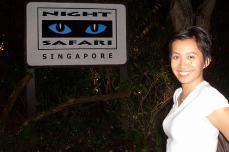 Night Safari
