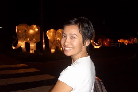 Night Safari