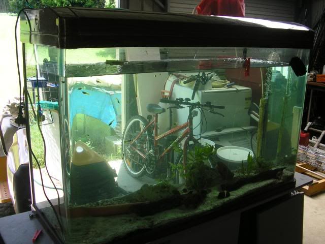 fishkitchendriveway364.jpg