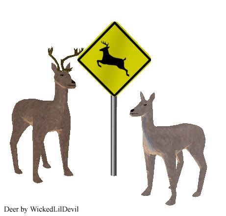Deer crossing sign