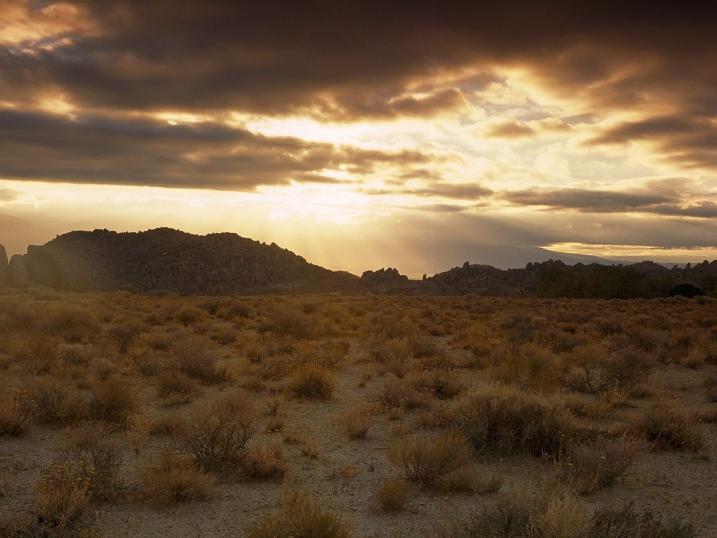 california nature