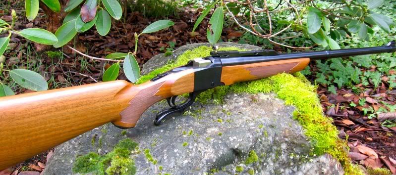 Ruger1SkinnerPeep-1.jpg