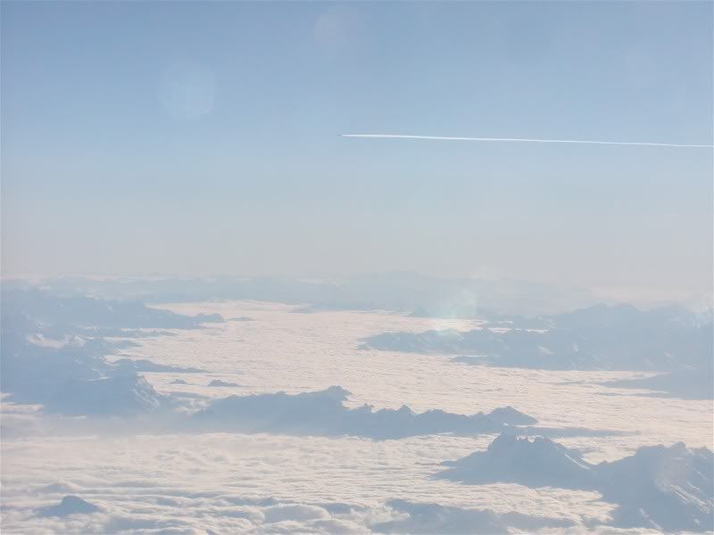 P1010226.jpg