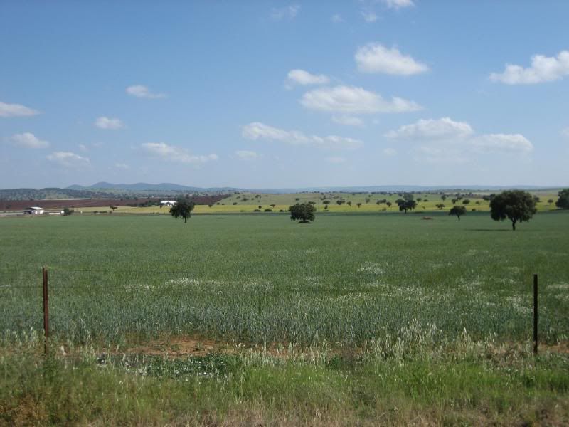 20090510_2909.jpg