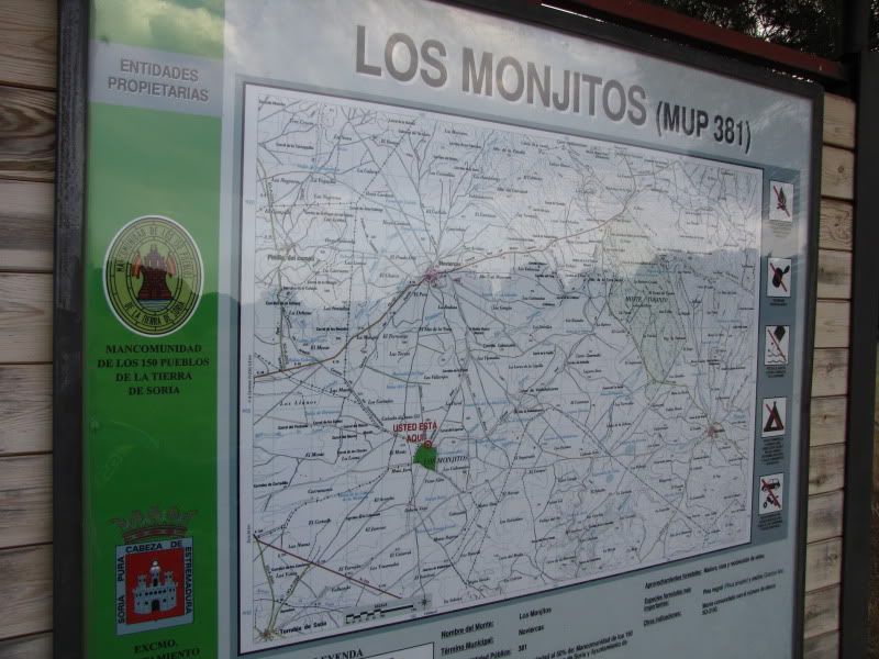 20100905_2989.jpg