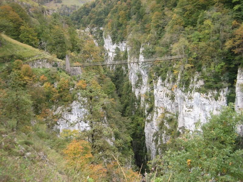 20081012_2622.jpg