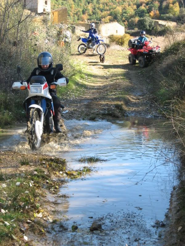 20081115_2773.jpg