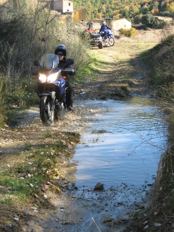20081115_2775.jpg