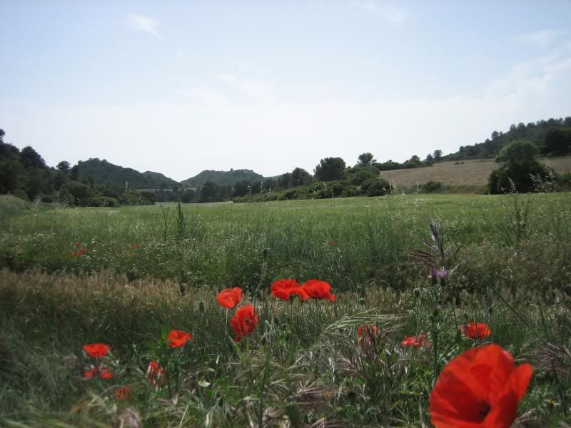 Monegros09017.jpg