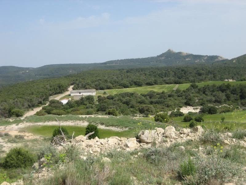 Monegros09019.jpg