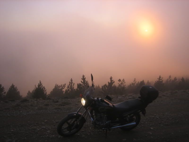IMG_9828.jpg