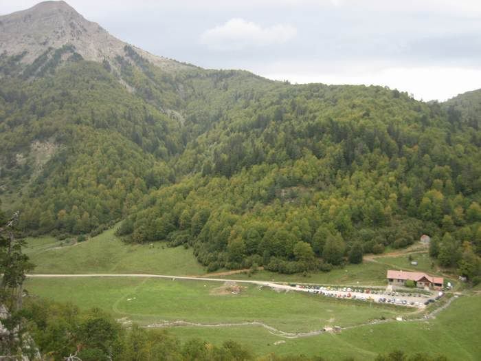 reducidasIMG_2074.jpg