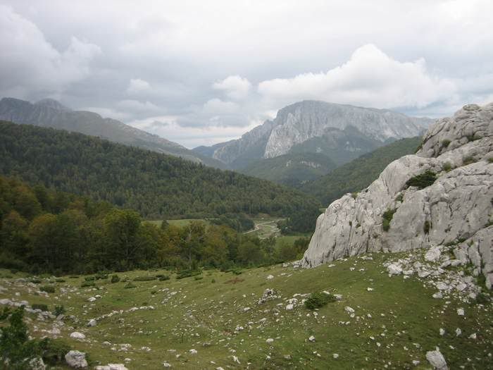 reducidasIMG_2075.jpg