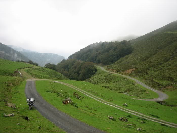 reducidasIMG_2107.jpg