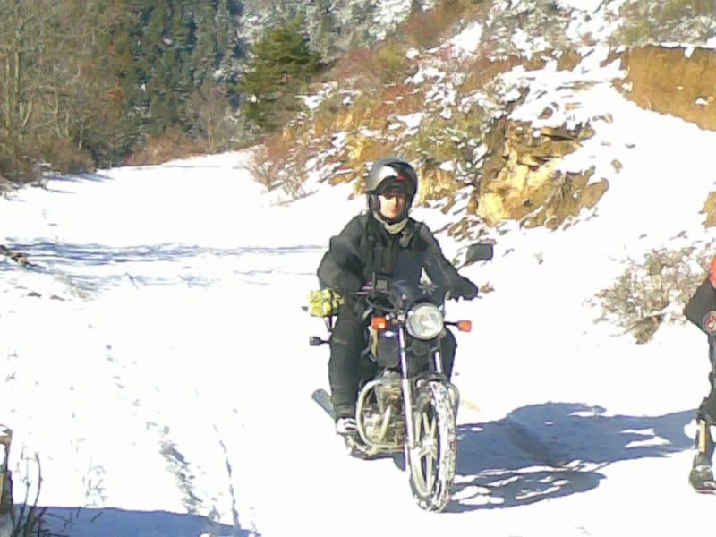 25012009009-001.jpg