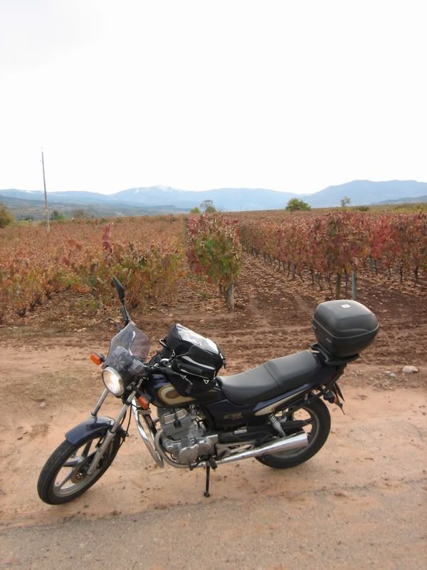 20081109_2732.jpg