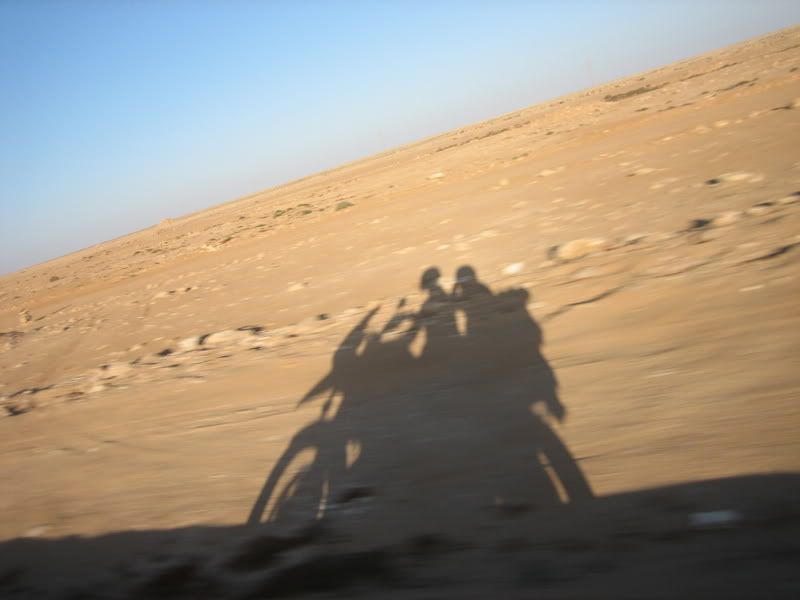IMG_5675.jpg