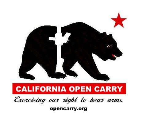 California+state+flag+bear