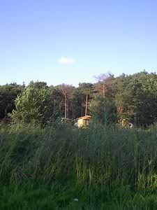 eins geht noch: bungalow-dorf auf dem campingplatz eins geht noch: bungalow-dorf auf dem campingplatz